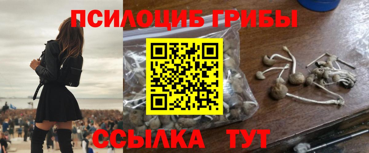 Псилоцибиновые грибы мицелий Алатырь